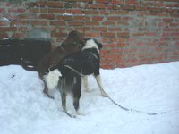 IMG00150.jpg