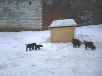 IMG00145.jpg