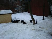 IMG00146.jpg