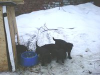 IMG00147.jpg