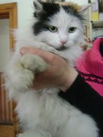 DSC07461.JPG