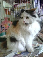 IMG00152.jpg