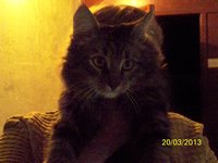 100_2921.JPG