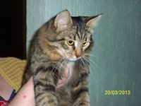 100_2917.JPG