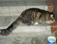 100_2906.JPG