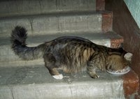 100_2903.JPG