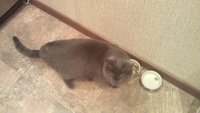 IMAG0620.jpg