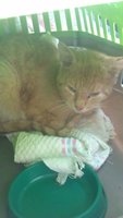 IMAG0642.jpg