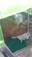 IMAG0650.jpg