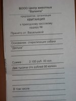 DSC07497.JPG