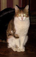 IMG_1795.JPG