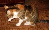 IMG_1797.JPG