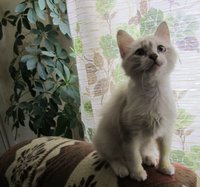 IMG_2368.jpg