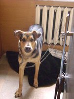 DSC01065.JPG