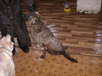 DSC07549.JPG