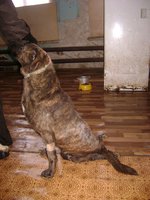 DSC07550.JPG