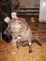 DSC07552.JPG