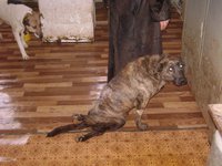 DSC07553.JPG