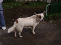 DSC01066.JPG