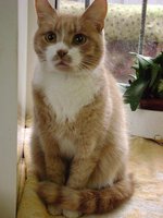 DSC01023.JPG