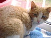DSC01034.JPG