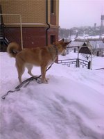 Смотрит 1.jpg