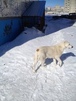 MyKXbcbhlIk.jpg