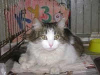 DSC07558.JPG