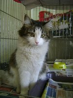 DSC07585.JPG