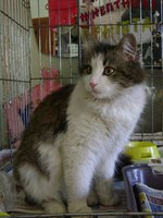 DSC07588.JPG