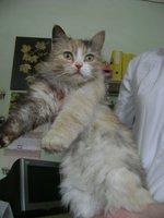 DSC07554.JPG