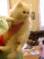 DSC07594.JPG