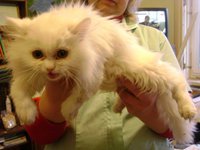 DSC07596.JPG