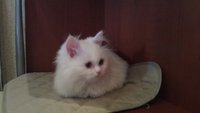 IMAG0125.jpg