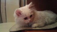 IMAG0128.jpg