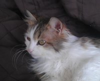 IMAG0672.jpg