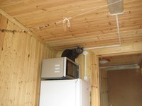 IMG_3010.JPG