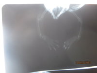 0_9fc07_ab2b225e_L.jpg