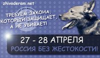 PFwT3ZsMmQg.jpg