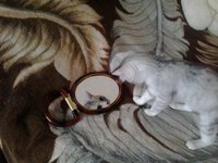 2013-04-03 08.44.03.jpg