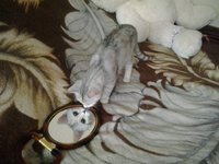 2013-04-03 08.45.20.jpg