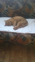 2013-01-09-0016.jpg