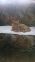 2013-01-09-0017.jpg