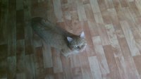 2013-01-24-0023.jpg