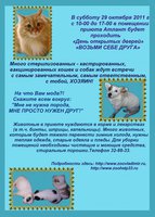 В автобус готовый копиям.JPG