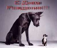 72699585_Dog_i_pesik.jpg