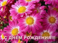 8849181.jpg