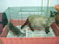 DSC01093.JPG