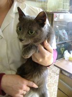 DSC07611.JPG