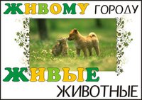 живому.jpg